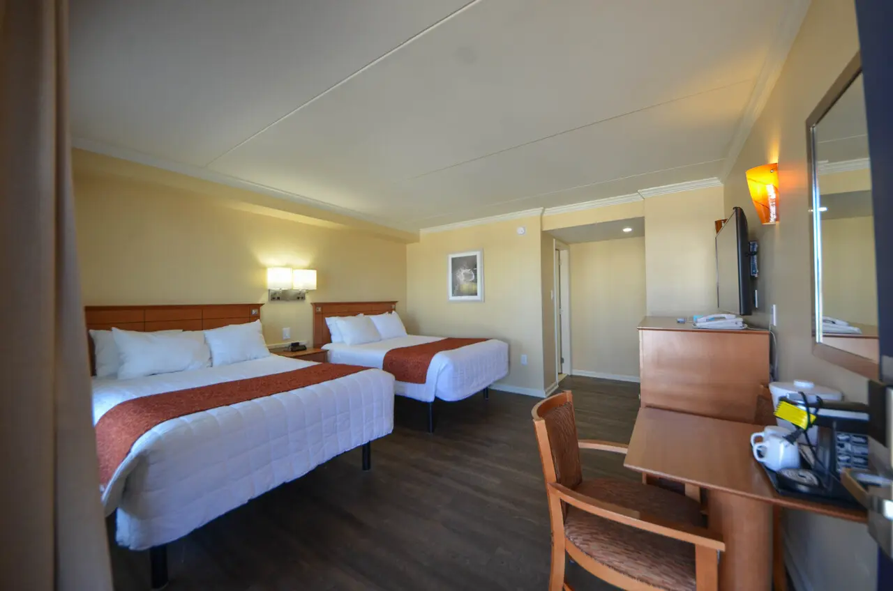 Two beds in a bright Type B guest room